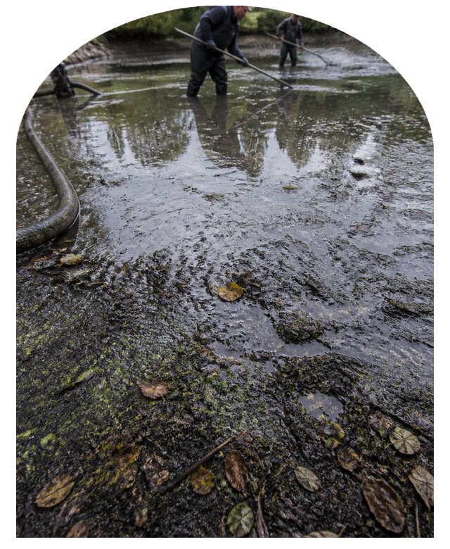 Очистка пруда в Северодвинске от ила мусора и водорослей с вывозом